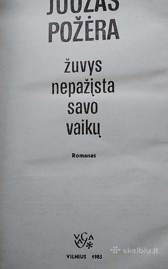 Žuvys nepažįsta savo vaikų - nuotraukos Nr. 2