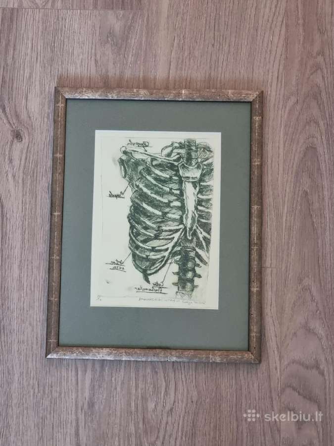 2 įrėminti+įstiklinti paveikslai "Draugas Hiacinta - nuotraukos Nr. 6