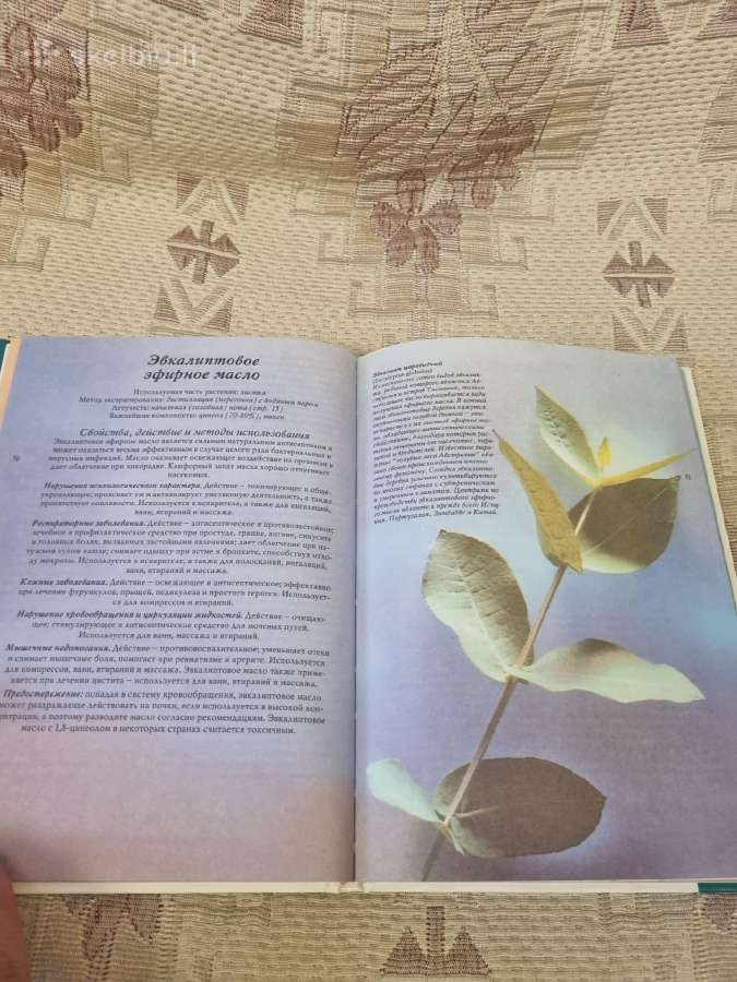 Rusų kalba : Ароматерапия - nuotraukos Nr. 6