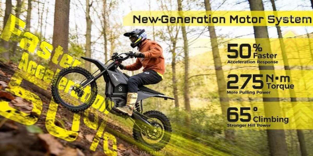 Valtinsu em5 ultra elektrinis motociklas 8000w - nuotraukos Nr. 9