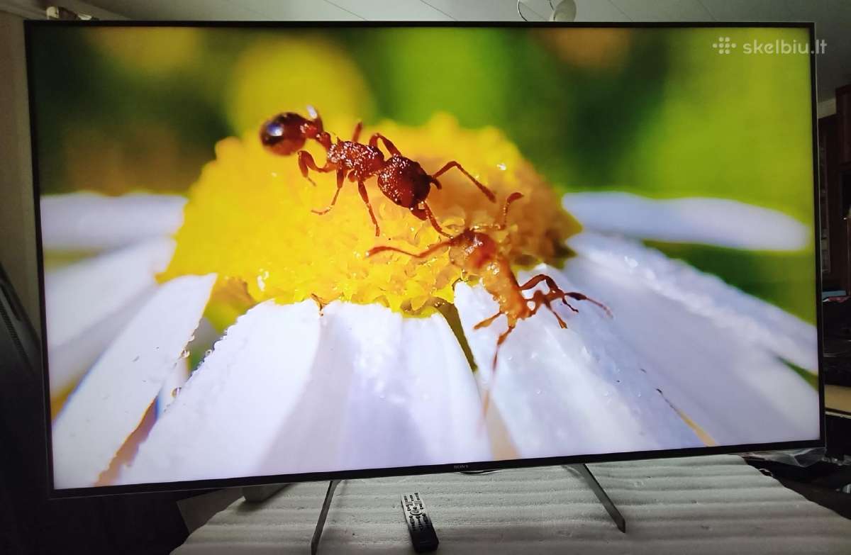 Sony 75" 190cm Smart 4k Uhd - nuotraukos Nr. 11