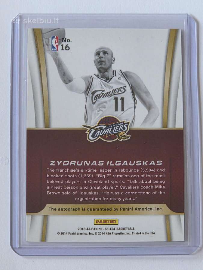 Zydrunas Ilgauskas Auto Jersey mix - nuotraukos Nr. 6