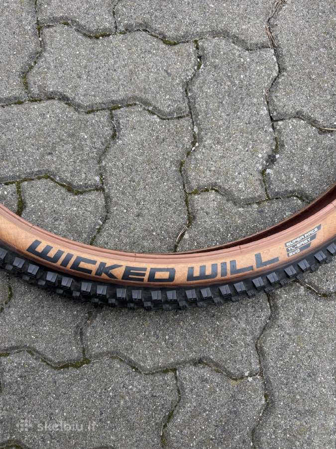 Dviračio padanga 29 „Schwalbe Wicked Will“ - nuotraukos Nr. 2
