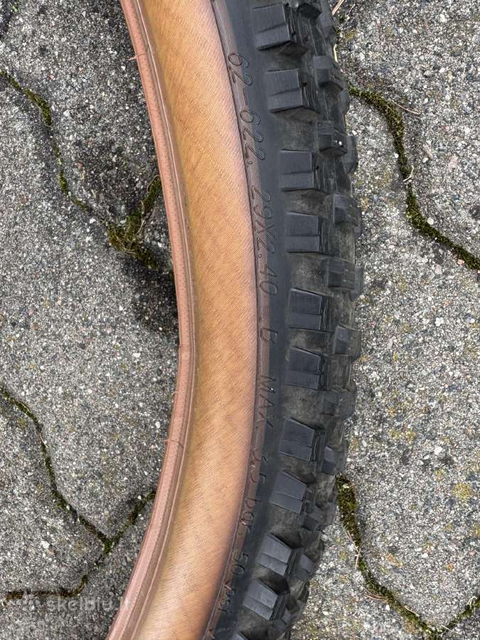 Dviračio padanga 29 „Schwalbe Wicked Will“ - nuotraukos Nr. 4