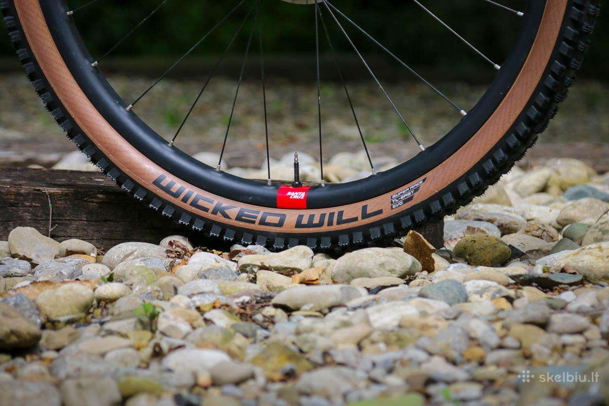 Dviračio padanga 29 „Schwalbe Wicked Will“ - nuotraukos Nr. 5