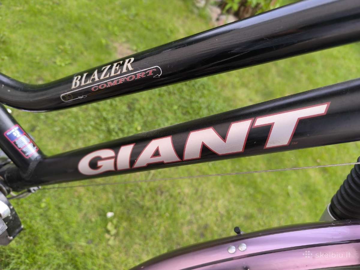 Moteriškas miesto dviratis Giant Blazer Comfort - nuotraukos Nr. 12