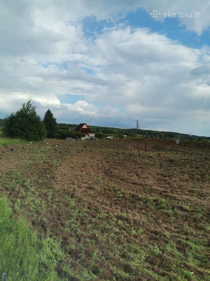 Sklypas - nuotraukos Nr. 2