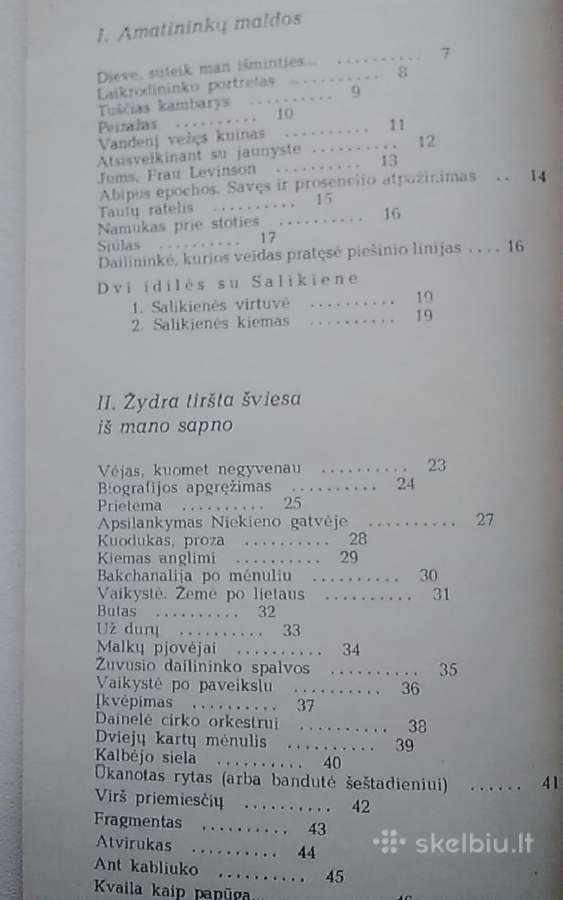 Vakaras vaikystėje - nuotraukos Nr. 3