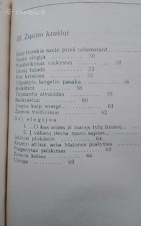 Vakaras vaikystėje - nuotraukos Nr. 4