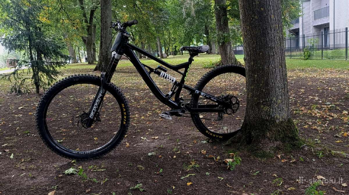 Rose soulfire dh - nuotraukos Nr. 2
