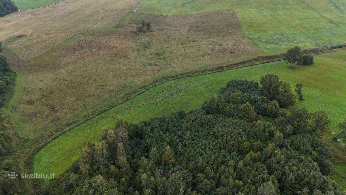 Parduodami žemės sklypai. Šilalės r. - nuotraukos Nr. 6