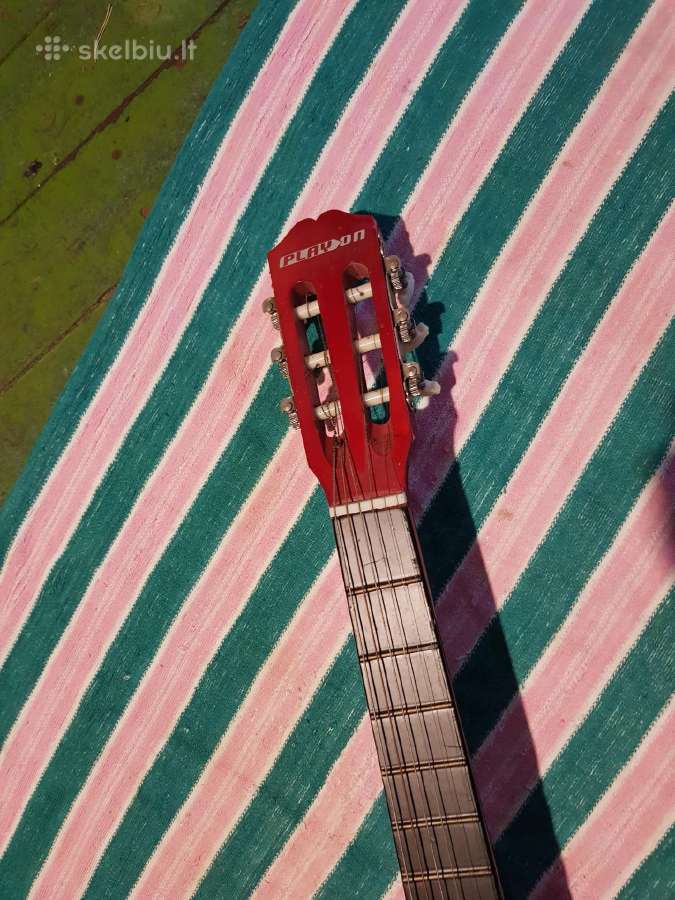 Gitara. - nuotraukos Nr. 4