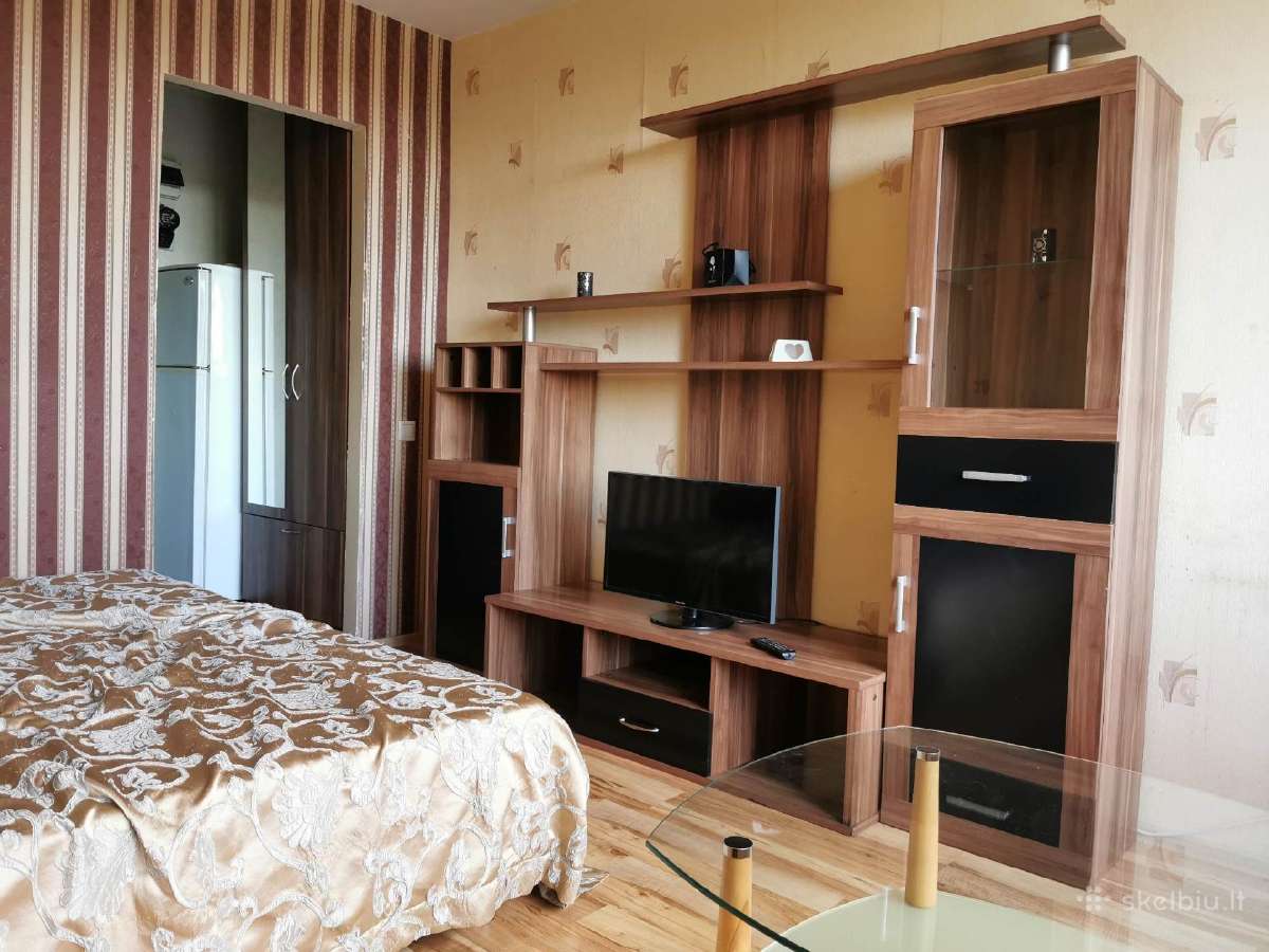 Nuomojamas jaukus 1k. butas centre, maži mokesčia - nuotraukos Nr. 11