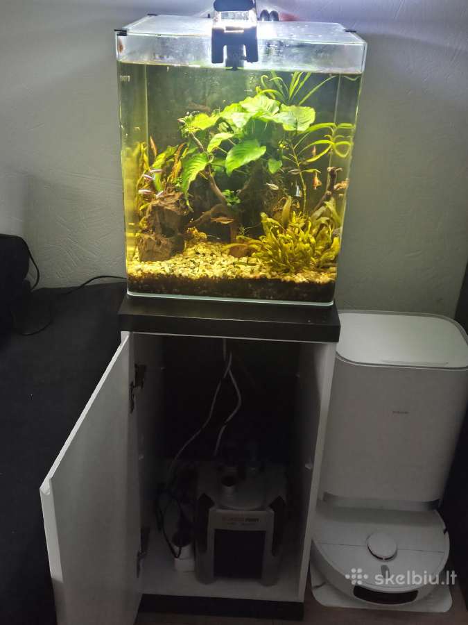 Akvariumas - nuotraukos Nr. 2