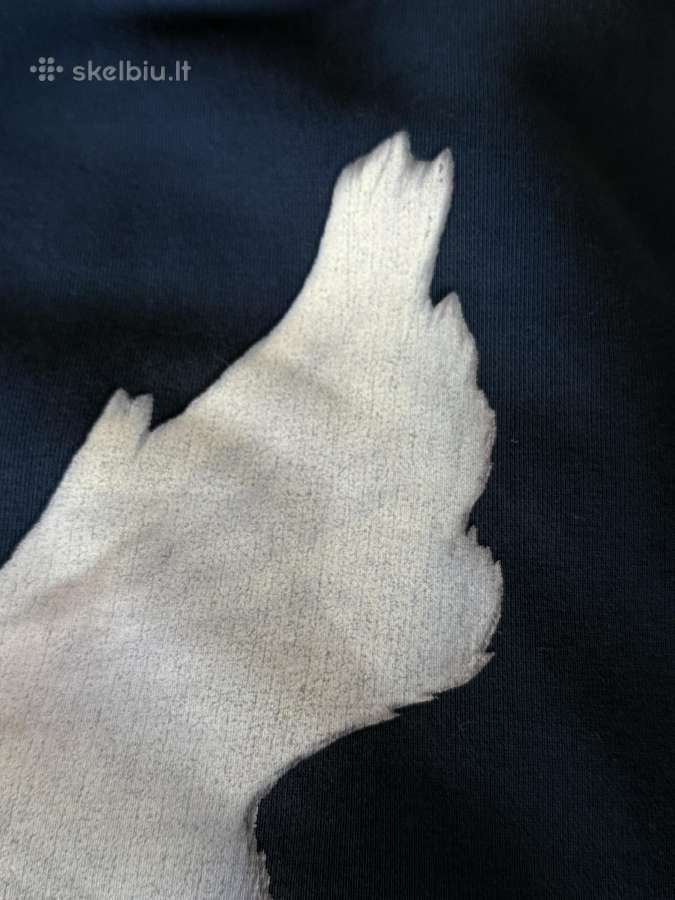Yeezy gap dove balenciaga hoodie - nuotraukos Nr. 23