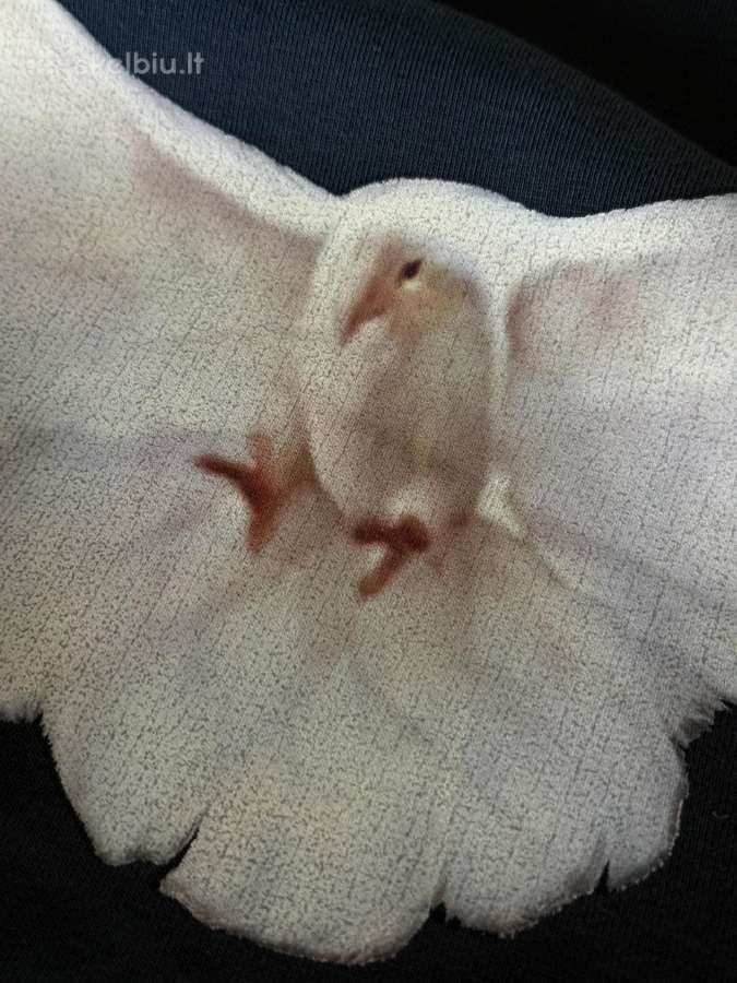 Yeezy gap dove balenciaga hoodie - nuotraukos Nr. 24