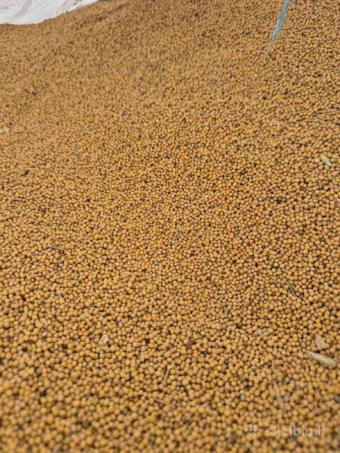 Garstycios 1000e/t big bag arba 25kg - nuotraukos Nr. 2