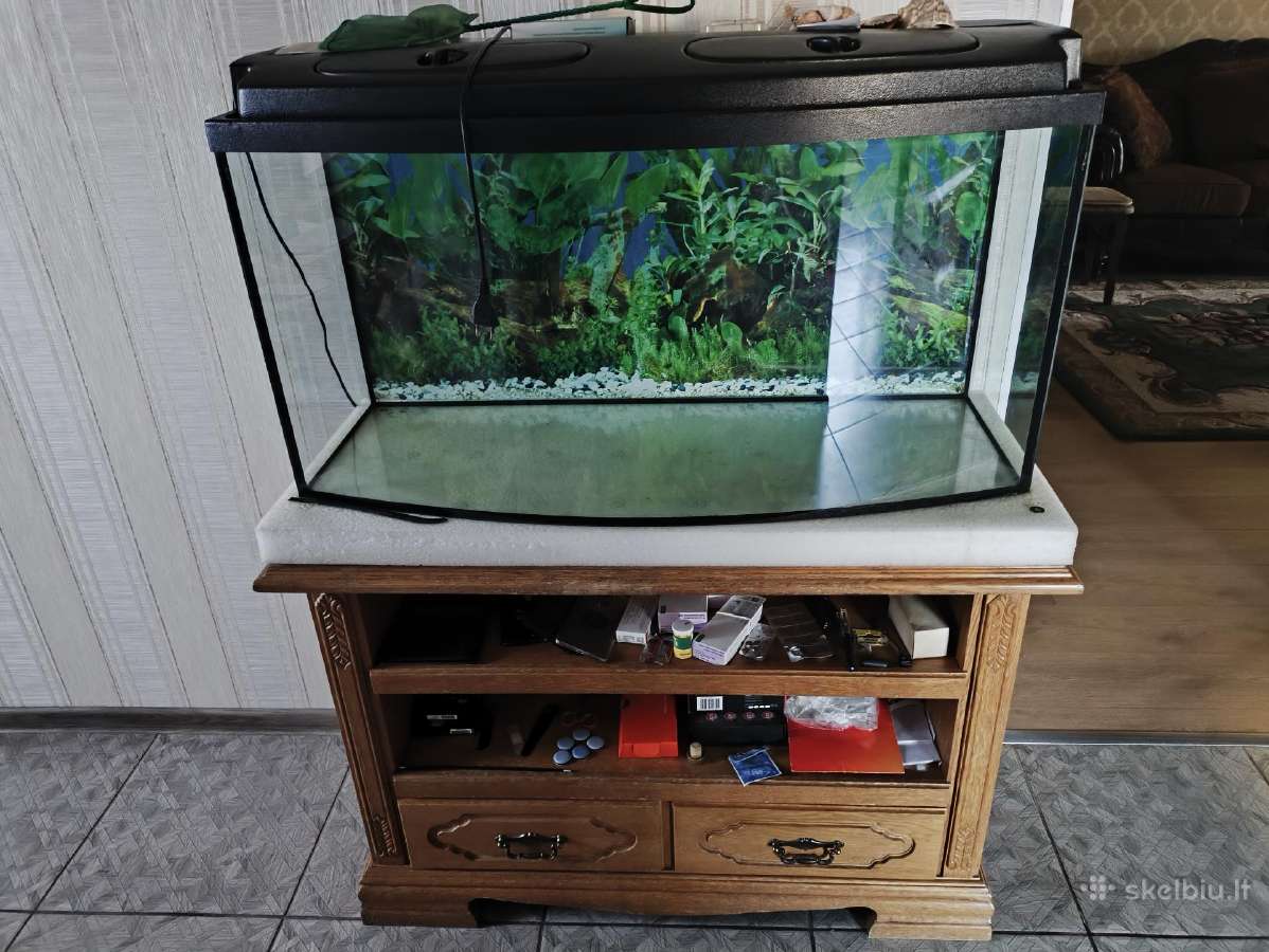 Akvariumas - nuotraukos Nr. 3