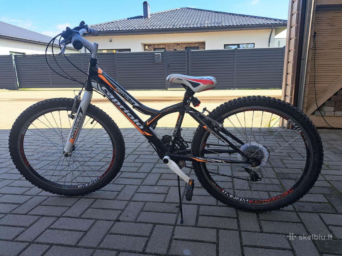 20 colių dviratis Capriolo diavolo 200, 24 ratai - nuotraukos Nr. 2