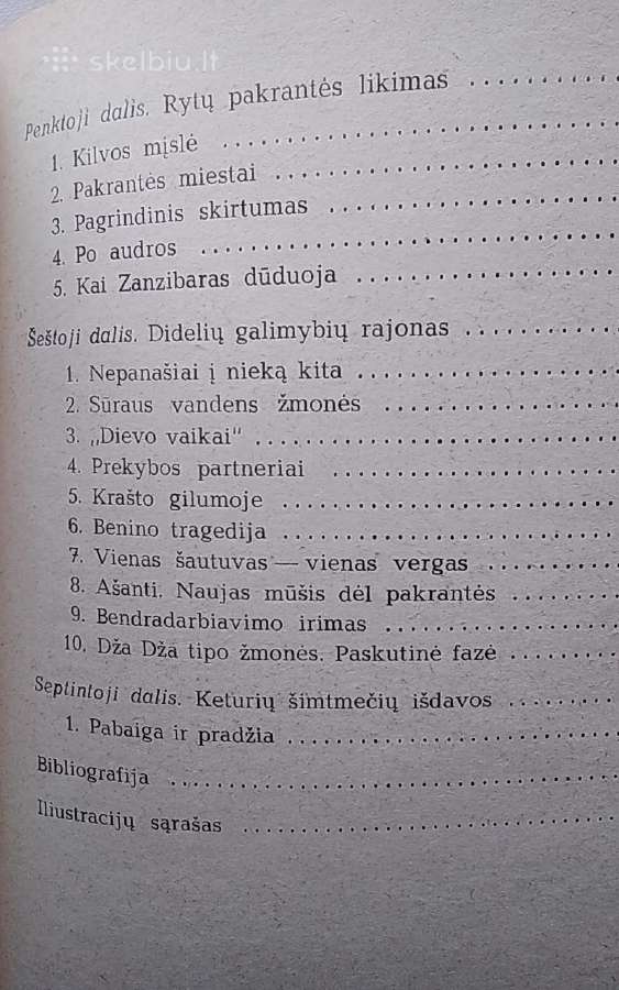 Juodoji motina - nuotraukos Nr. 5