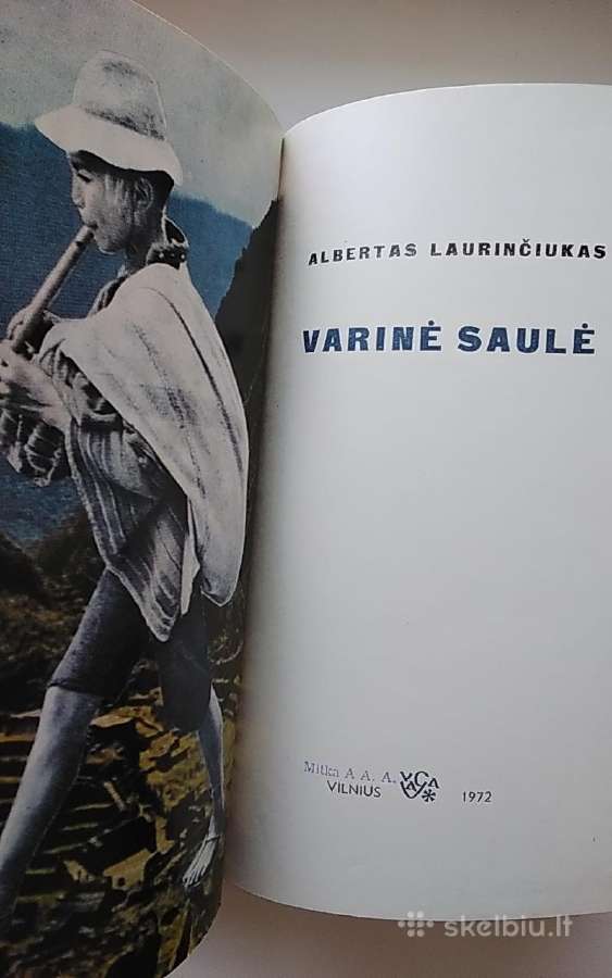 Varinė saulė - nuotraukos Nr. 3