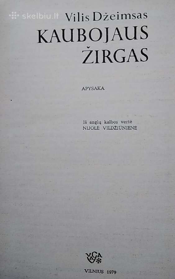 Kaubojaus žirgas - nuotraukos Nr. 2