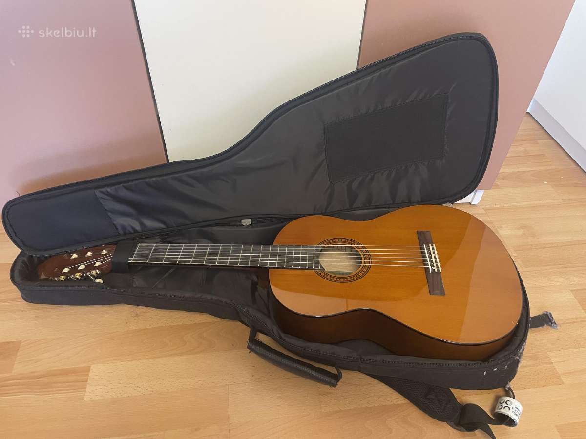 Gitara - nuotraukos Nr. 2