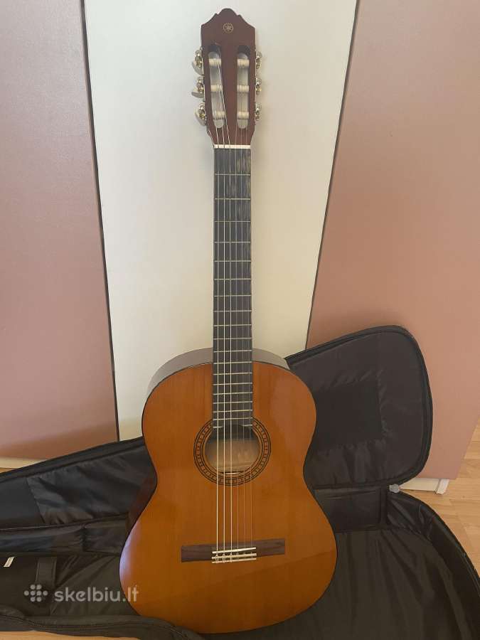 Gitara - nuotraukos Nr. 3