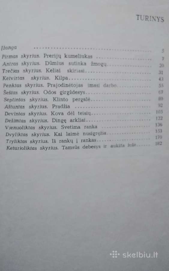 Kaubojaus žirgas - nuotraukos Nr. 7