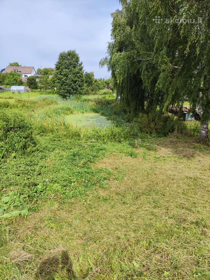 Žemės sklypas su Namu Lazdijų mieste - nuotraukos Nr. 8