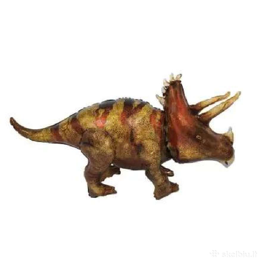 Dinozaurų gimtadienio atributika ir dekoracijos - nuotraukos Nr. 19