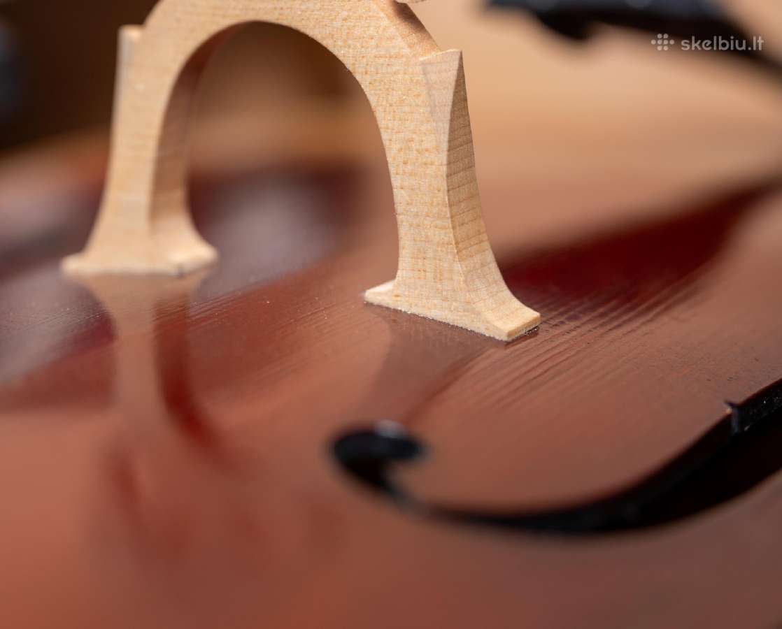 Violončelė 4/4 - nuotraukos Nr. 3