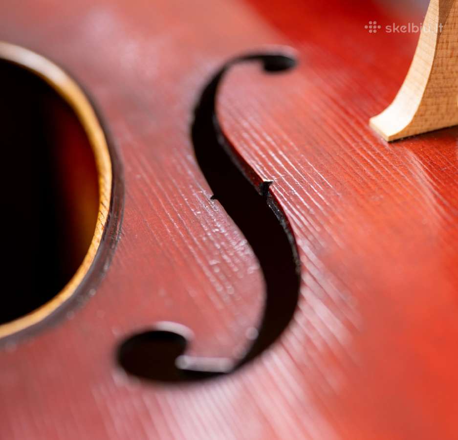 Violončelė 4/4 - nuotraukos Nr. 4