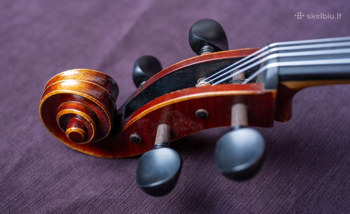 Violončelė 4/4 - nuotraukos Nr. 6