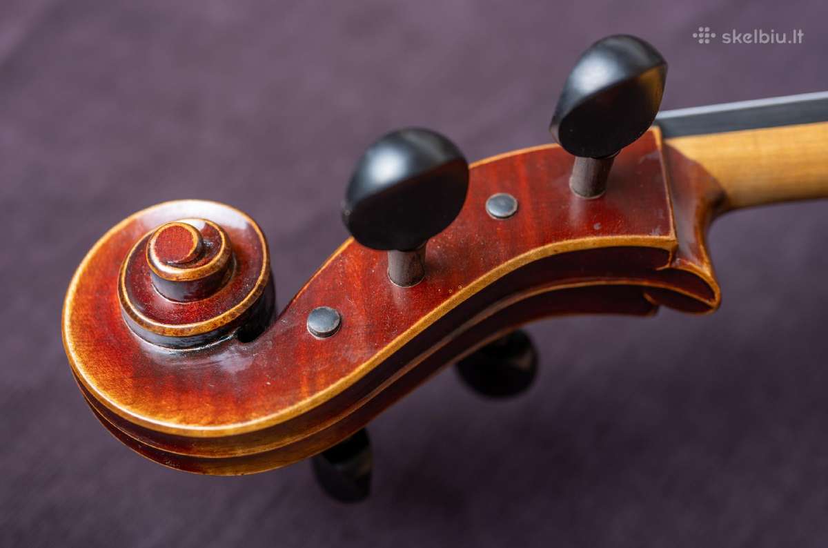 Violončelė 4/4 - nuotraukos Nr. 7