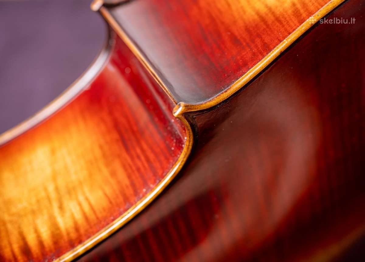 Violončelė 4/4 - nuotraukos Nr. 9