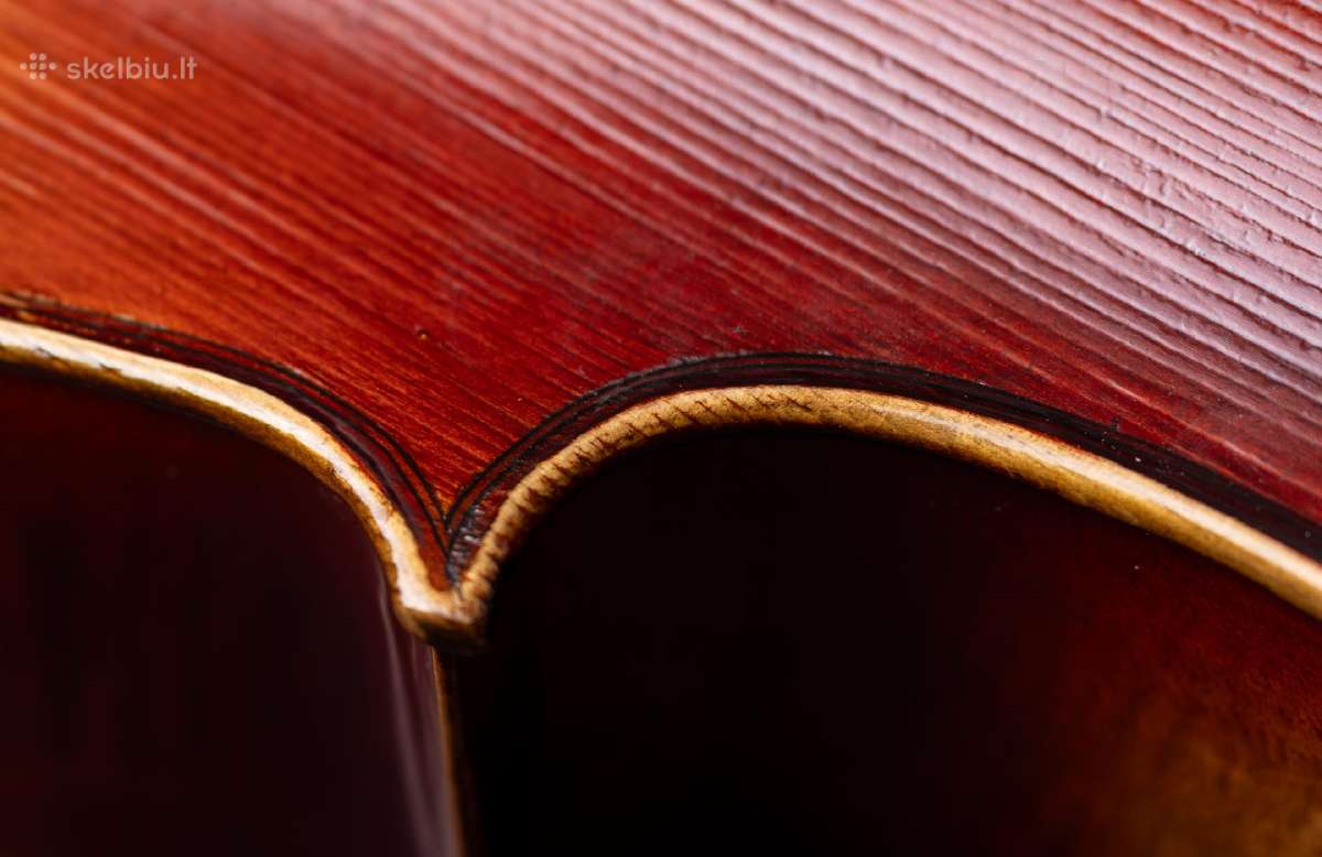 Violončelė 4/4 - nuotraukos Nr. 10