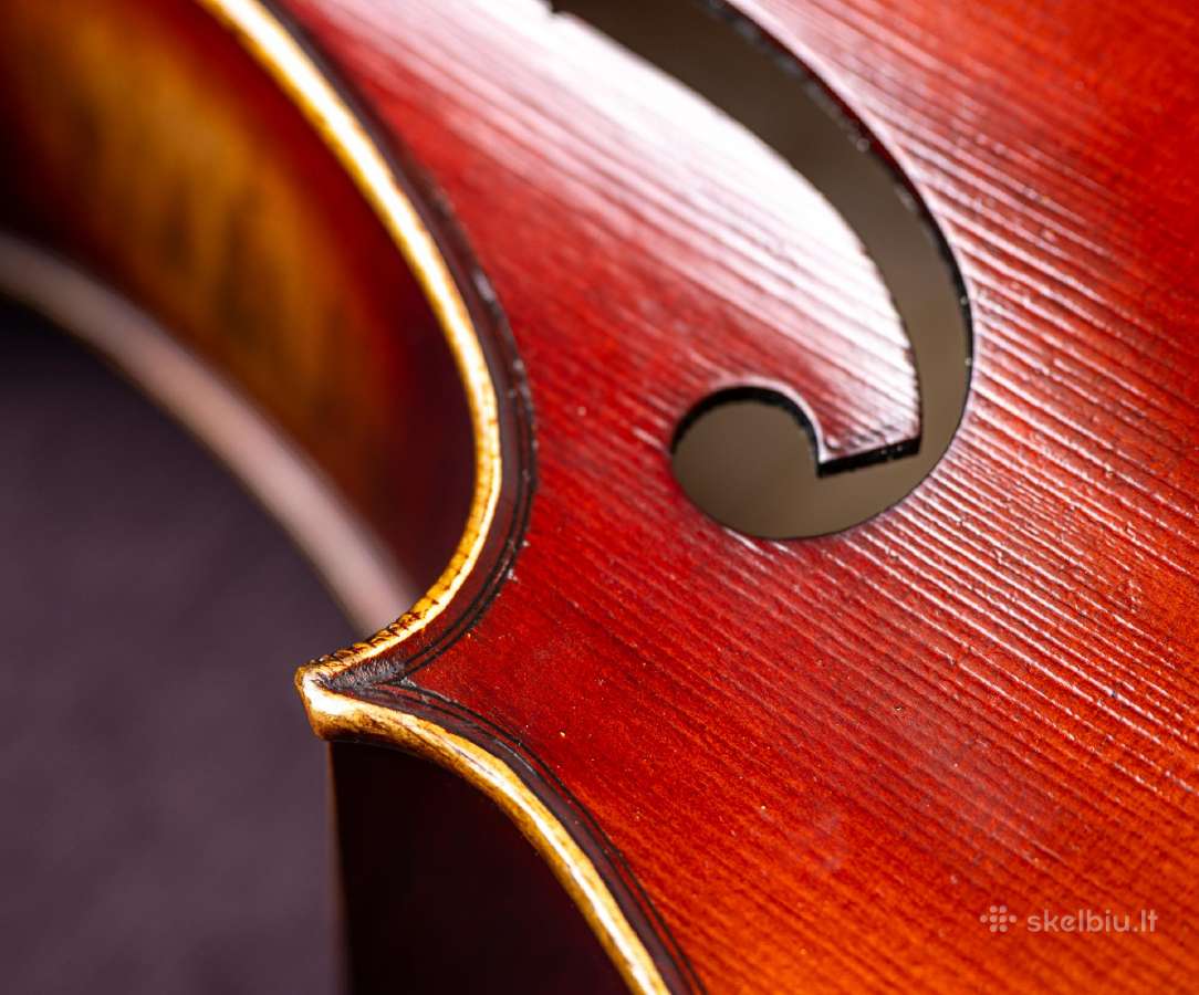 Violončelė 4/4 - nuotraukos Nr. 11