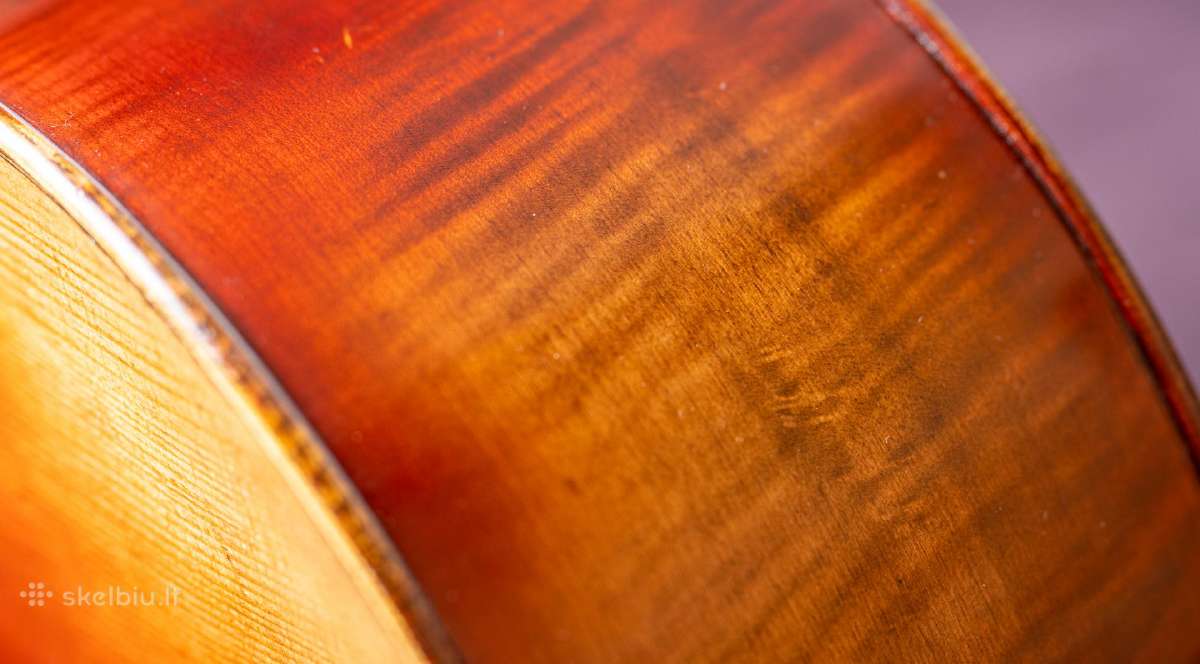 Violončelė 4/4 - nuotraukos Nr. 12