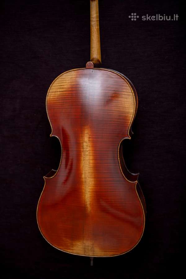 Violončelė 4/4 - nuotraukos Nr. 17