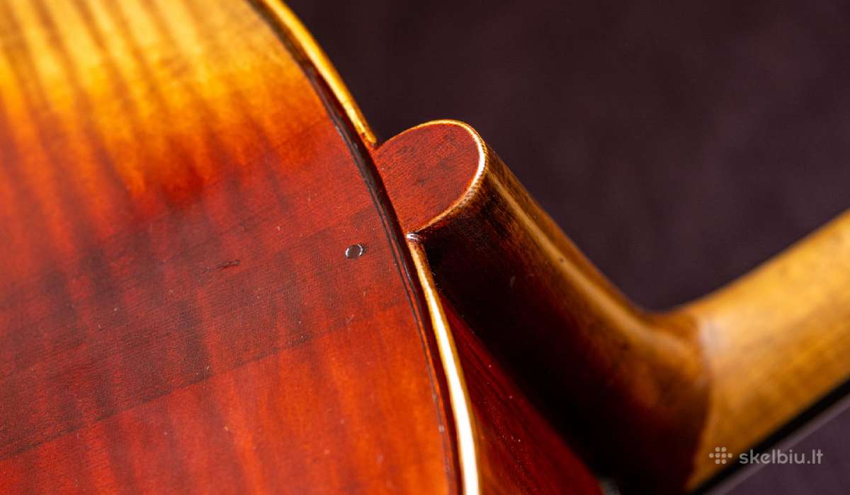 Violončelė 4/4 - nuotraukos Nr. 18