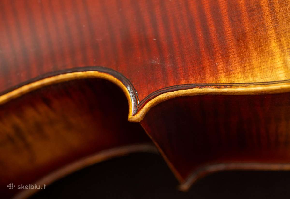 Violončelė 4/4 - nuotraukos Nr. 19