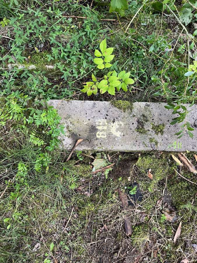 Trys betoniniai elektros stulpai apie 11-12m - nuotraukos Nr. 2
