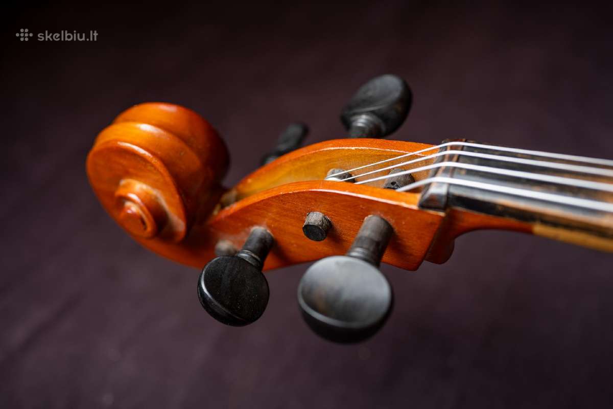 Violončelė 4/4 - nuotraukos Nr. 4