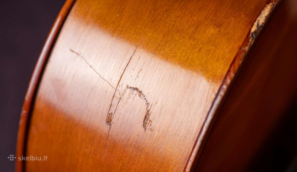 Violončelė 4/4 - nuotraukos Nr. 9