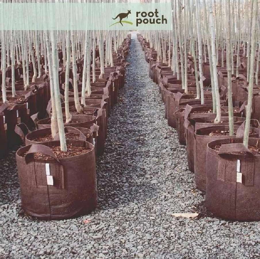Root Pouch tekstiliniai auginimo maišai 3,8–45 l - nuotraukos Nr. 7