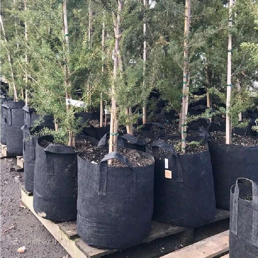 Root Pouch tekstiliniai auginimo maišai 3,8–45 l - nuotraukos Nr. 8