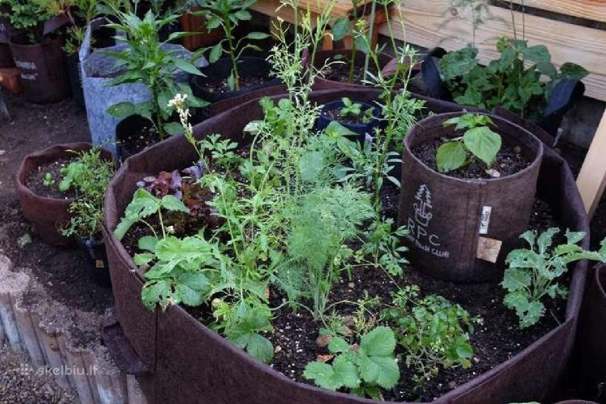 Root Pouch tekstiliniai auginimo maišai 3,8–45 l - nuotraukos Nr. 9