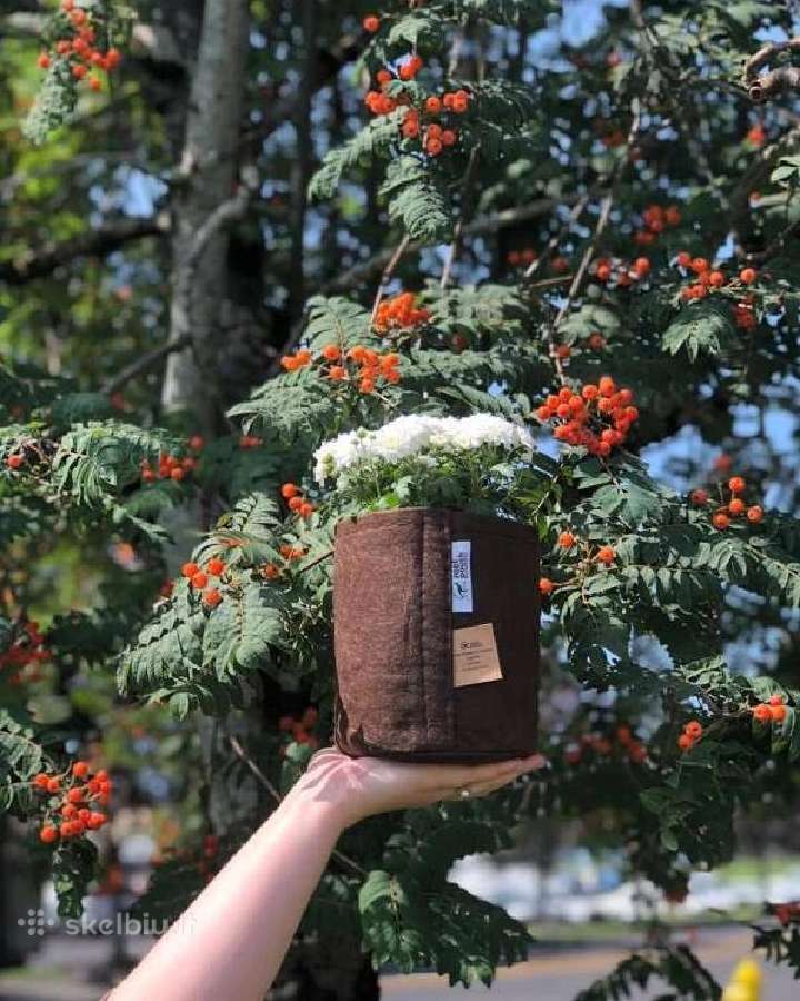 Root Pouch tekstiliniai auginimo maišai 3,8–45 l - nuotraukos Nr. 10