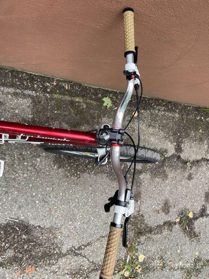 Custom retro MTB GT Backwoods dviratis - nuotraukos Nr. 4